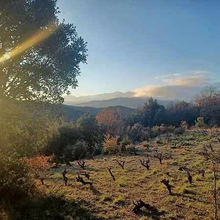 Un Petit Oasis En Plein Centre De Ceret. *