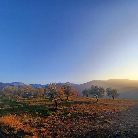 Un Petit Oasis En Plein Centre De Ceret. *
