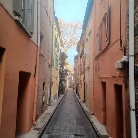 Holiday home Un Petit Oasis En Plein Centre De Ceret.