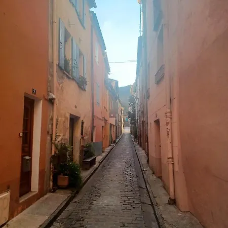Un Petit Oasis En Plein Centre De Ceret. Ceret